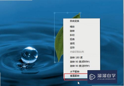 倒影制作工具 导出设置 画质选项