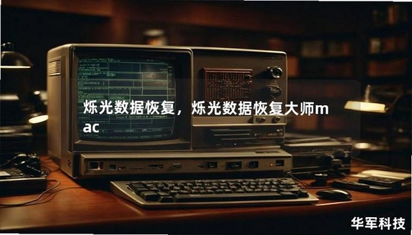 烁光数据恢复大师运行截图