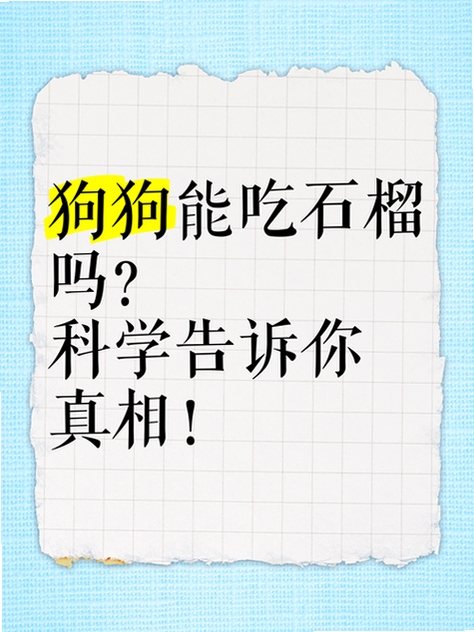 杏语运行截图