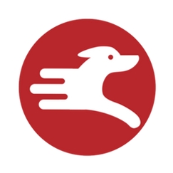 月犬云盾运行截图