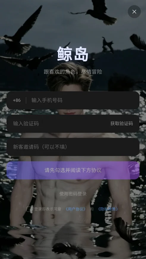 鲸岛ai聊天软件运行截图
