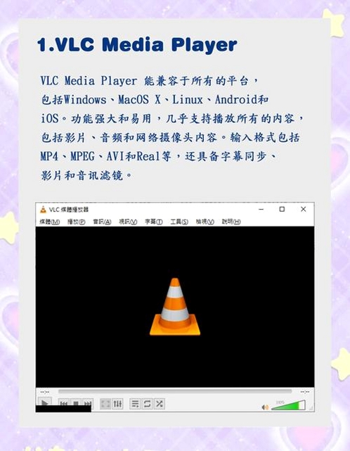 宝丽通网络媒体播放器运行截图