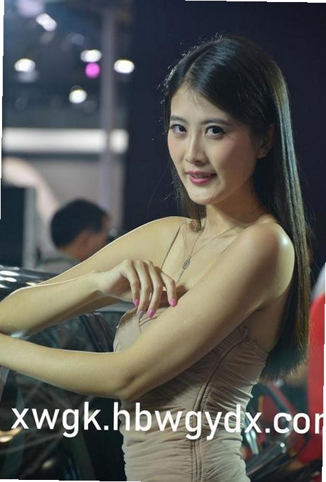 硕思闪客精灵专业版运行截图