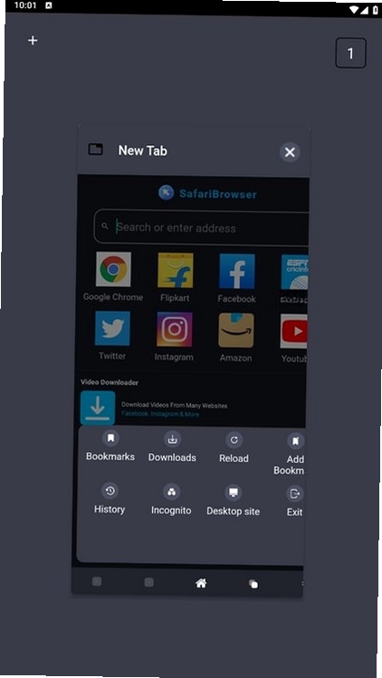 Safari浏览器运行截图