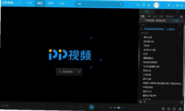 PP视频运行截图