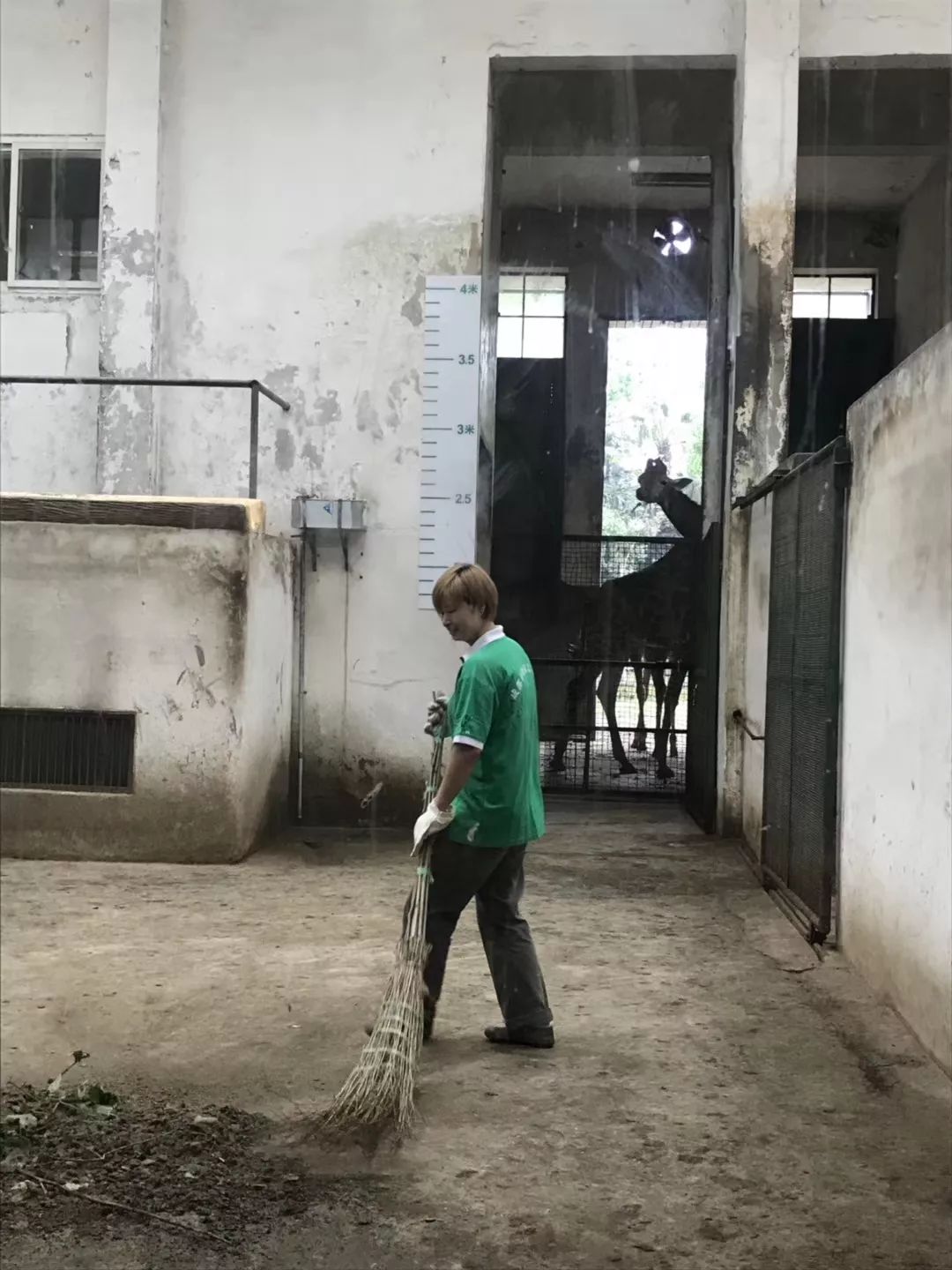 动物园清洁工招聘要求及工作日常真实体验