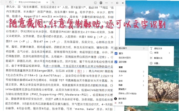 SothinkSWFQuicker运行截图