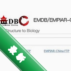 EMDBv3.50.0.0电脑版