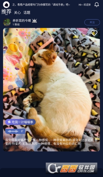 ��֮(������������)