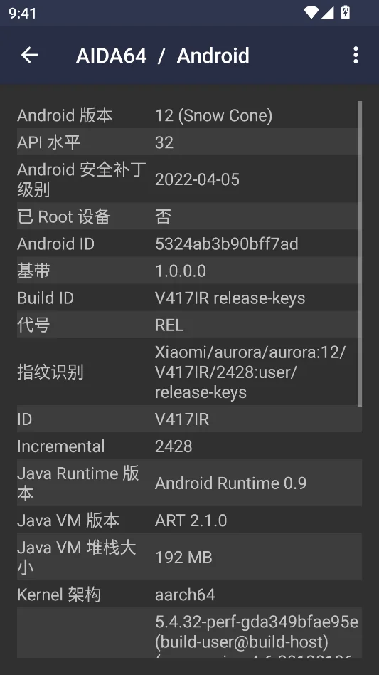 AIDA64运行截图