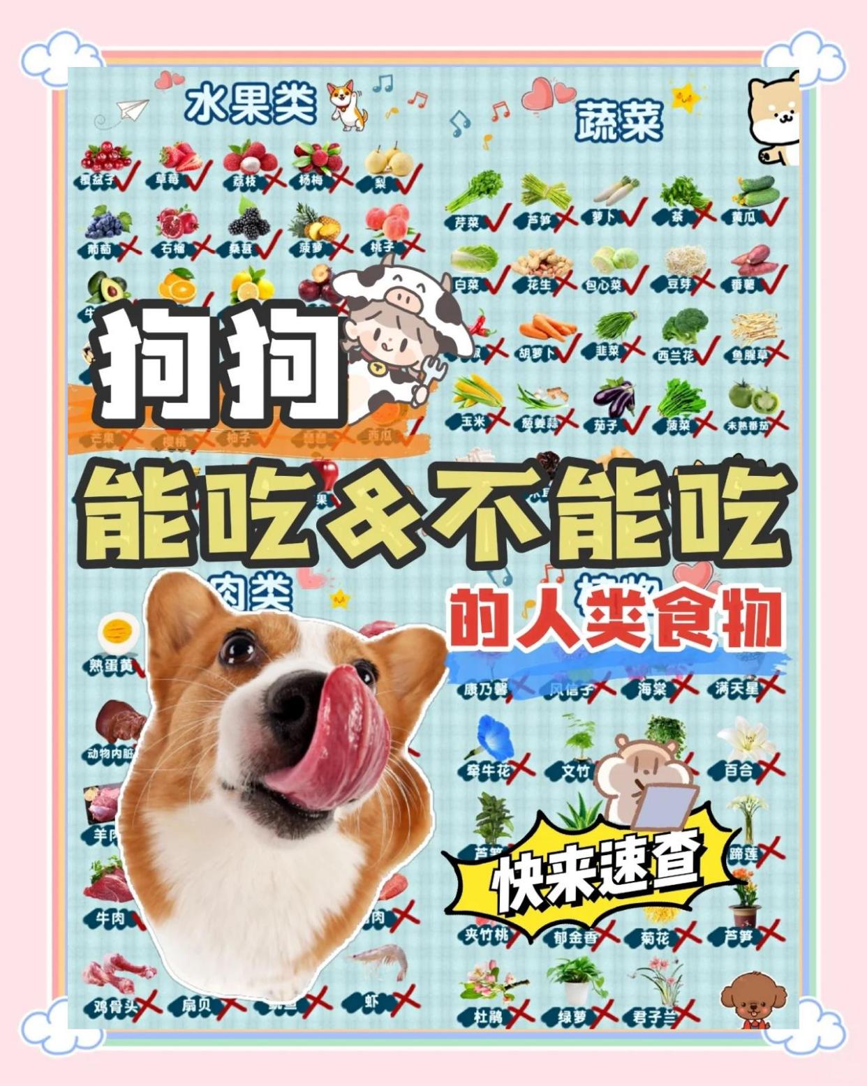 �����ܳԣ�DogCanEat������ʳ���嵥ͼ��