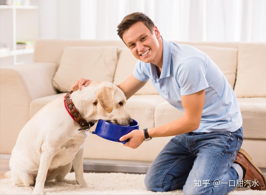 �����ܳԣ�DogCanEat����ιʳ������ע������