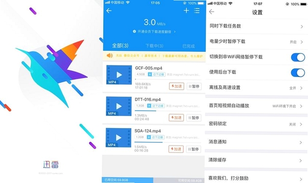 迅雷壁纸运行截图