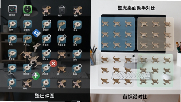 壁虎桌面助手桌面整理功能效果图,展示整理前后对比,左侧杂乱图标,右侧自动分区整齐排列,分区框带有半透明背景,图标排列有序,背景为干净的工作桌面,视觉对比强烈