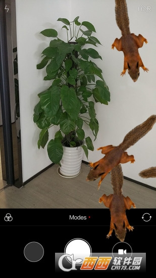 松鼠在手机爬行软件 松鼠在手机爬行软件