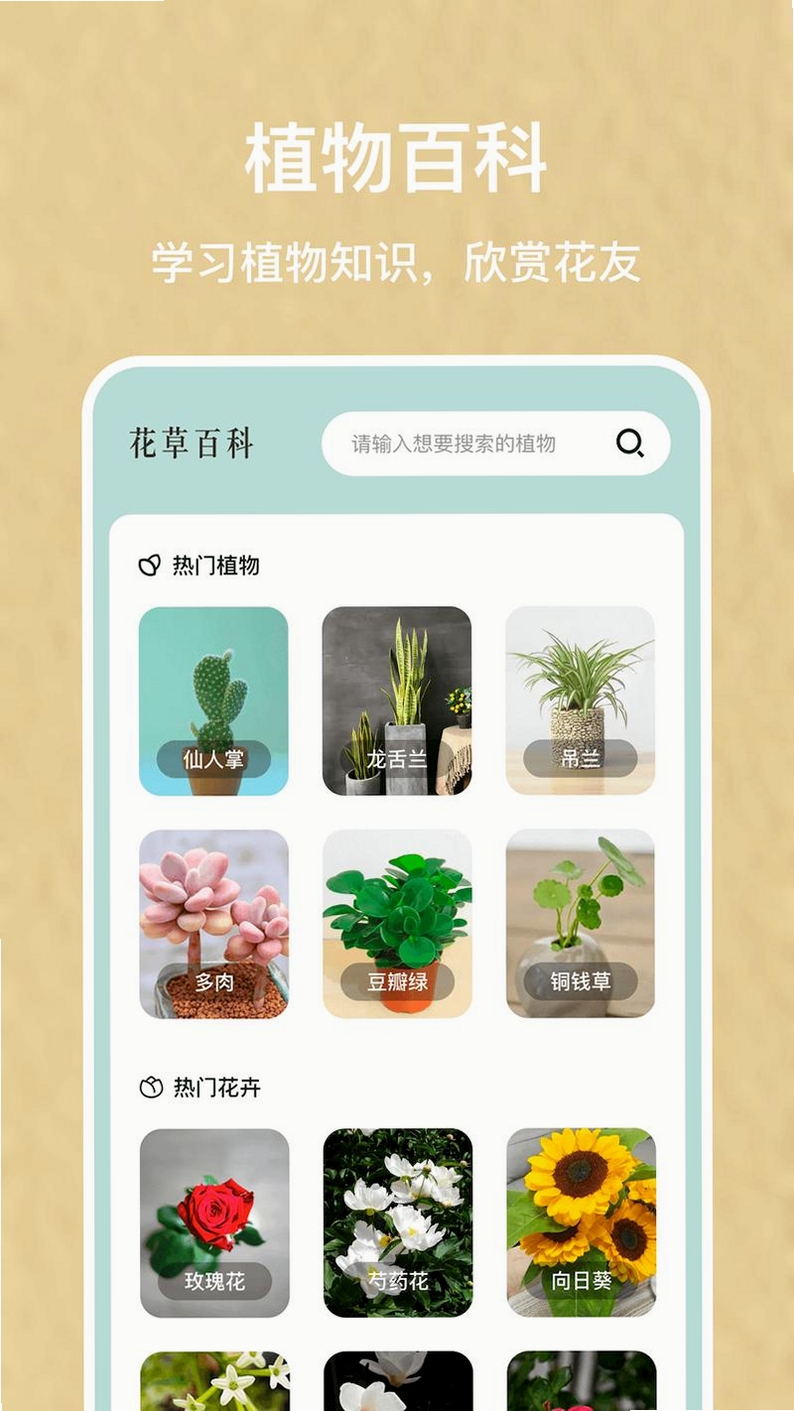 花朵浏览器学生版运行截图