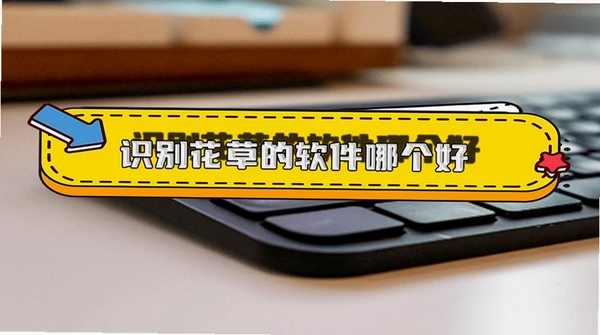花朵浏览器学生版运行截图