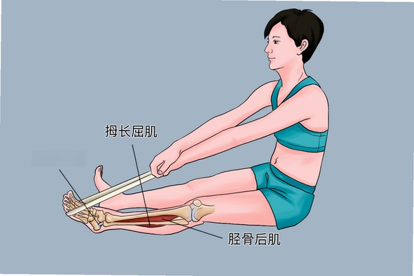 踝卫者 康复训练