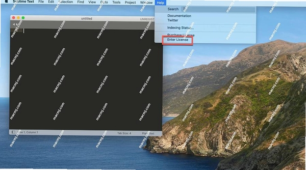 SublimeText运行截图
