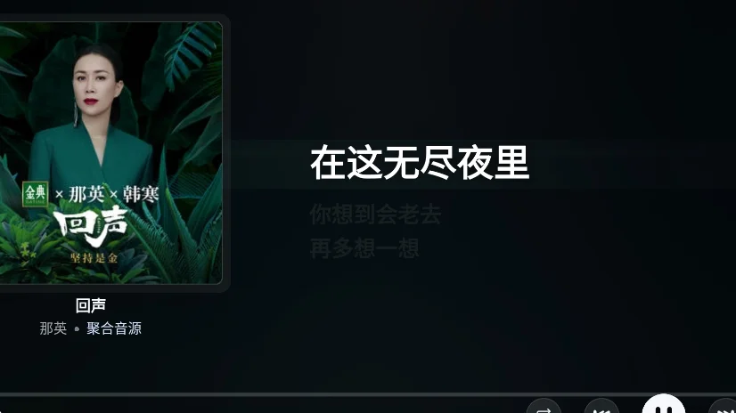 ZL-Music音乐tv版运行截图