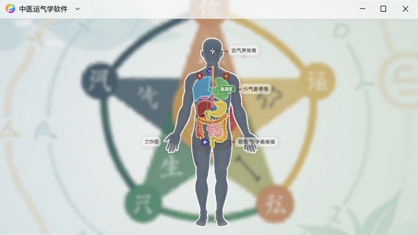中医运气学软件个人运气查询界面,显示一个人体轮廓图,不同脏腑区域对应着不同的颜色和运气标签,界面简洁现代,背景为模糊的五行生克关系图,色调清新