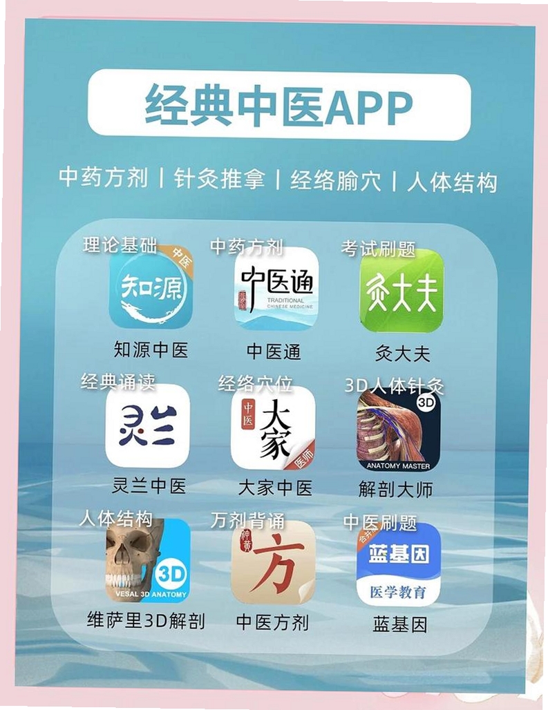 中医运气学软件运行截图