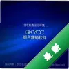 SkyCCͼ��