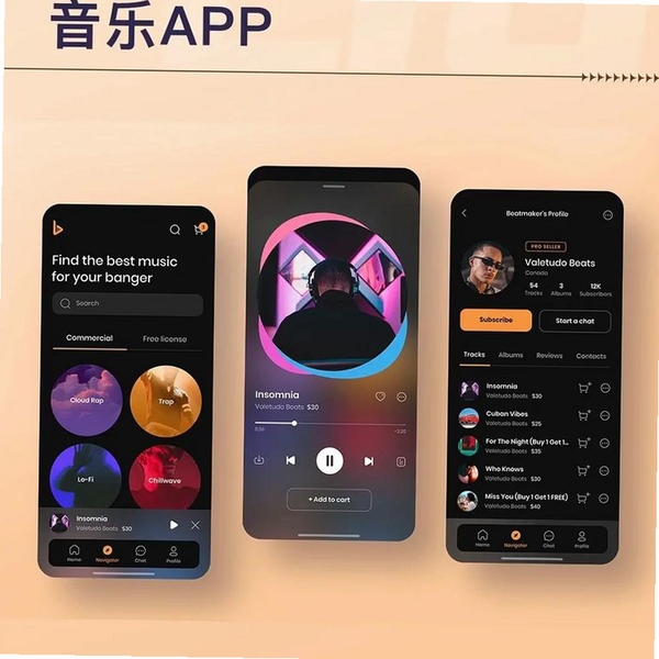 歌曲大全运行截图