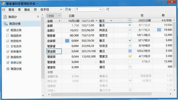 管家婆财务管理软件收支记账功能界面,左侧为账目分类列表,右侧显示详细的收支明细表格,包含金额、日期、备注等列,风格清晰专业
