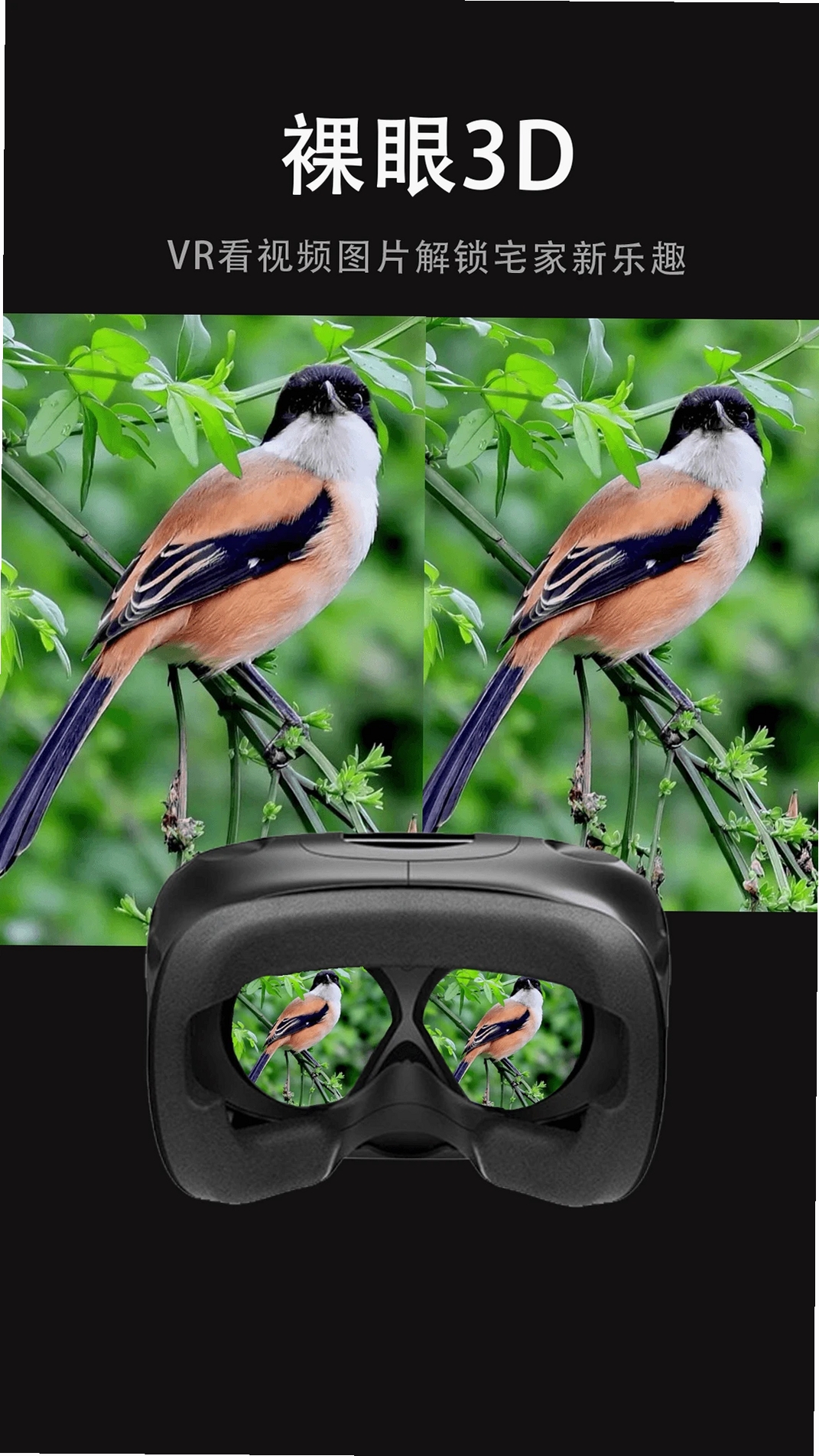 VR播放器运行截图