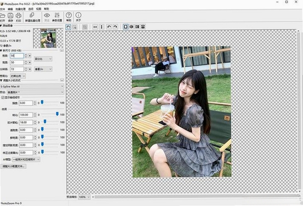PhotoZoom Pro ��װ�����ͼ