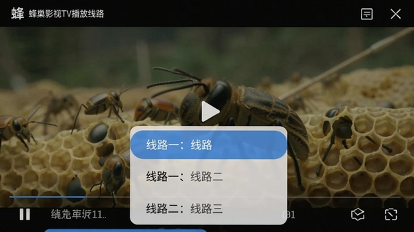 �䳲Ӱ��TV������·�л������ͼ������չʾ�������ײ���������·ѡ��˵����г�����·һ����·������·����ѡ�����Ϊ��Ӱ��ͣ���棬ǿ�������ṩ����·�����������