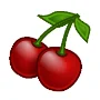 CherryTreeͼ��