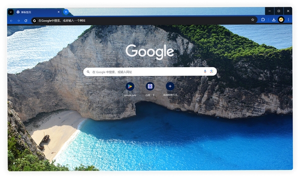 佐罗浏览器运行截图