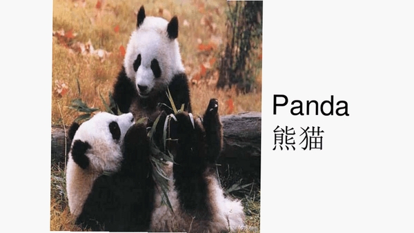 Panda English for Student ѧ������ ��ô��