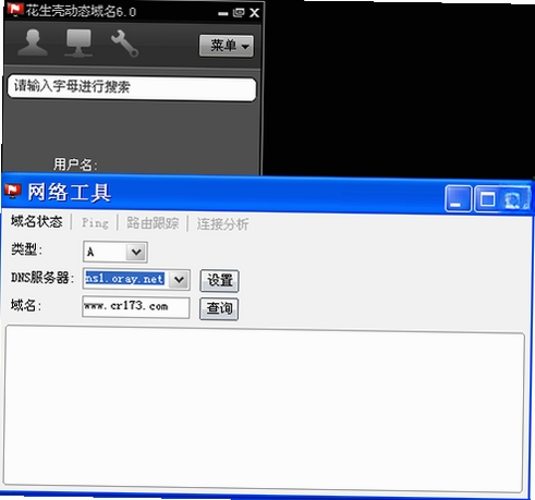 花生壳动态域名运行截图
