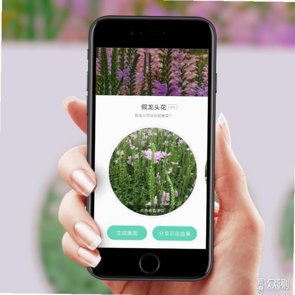 花乡花 花卉识别 操作教程 手机截图