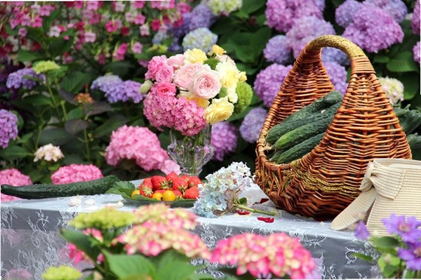 花乡花 更新日志 版本 截图