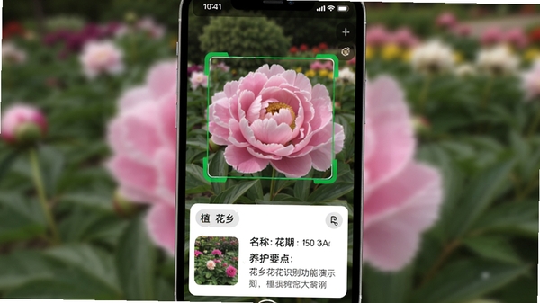 花乡花识别功能演示图,手机屏幕显示一朵粉色的牡丹花被绿色识别框框选,屏幕下方弹出植物信息卡片,包含名称、花期、养护要点,背景为模糊的花园实景,画面清晰展示AI识别过程。