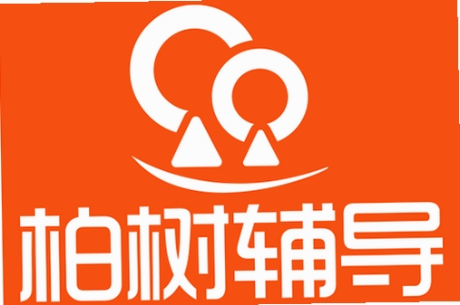 柏树辅导助手运行截图