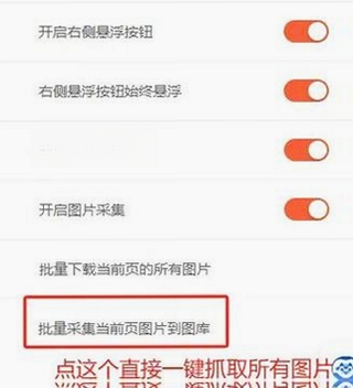 ImageBox网页图片批量下载器 使用教程 界面设置