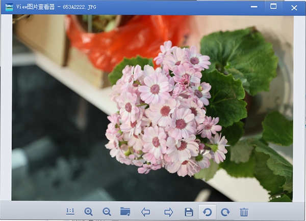 View图片查看器运行截图