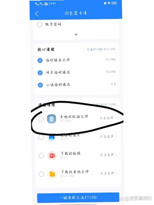 QQ浏览器企鹅守护专版运行截图