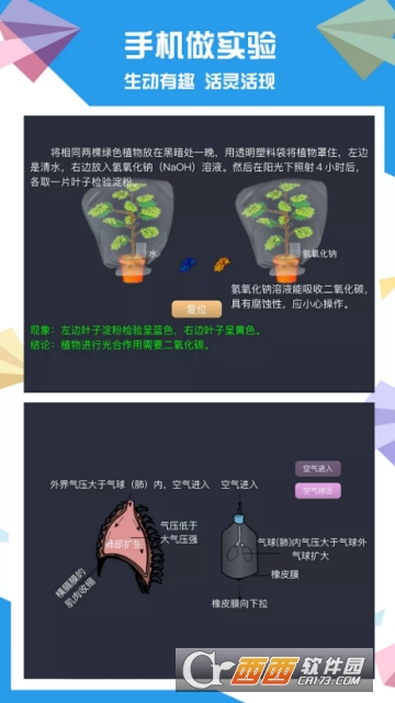 土豆初中生物
