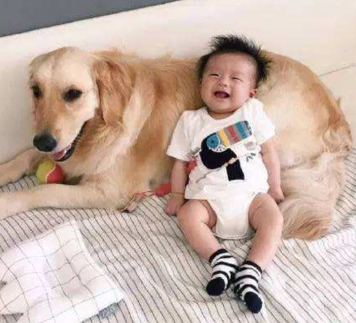 С������ ��һ�찲�����