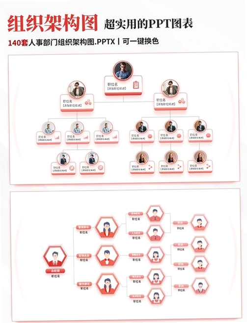 亿图组织结构图运行截图
