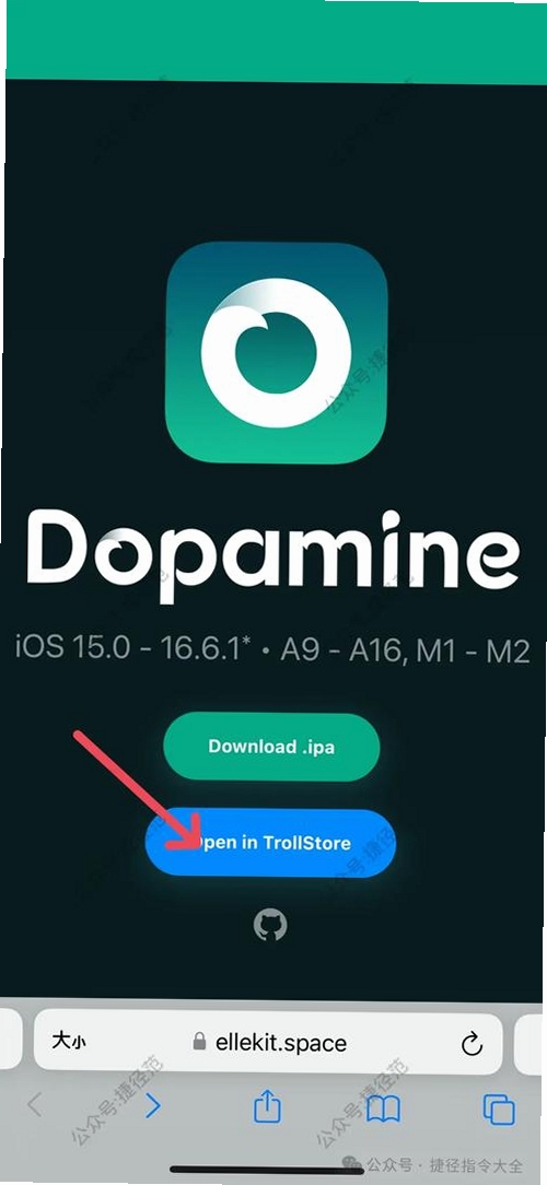 Dopamine���н�ͼ