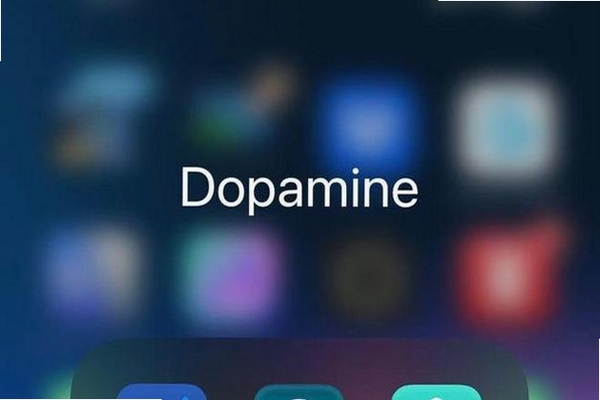 Dopamine���н�ͼ
