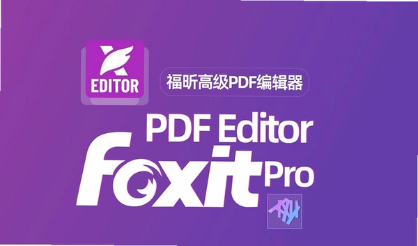 福昕阅读器FoxitReader运行截图