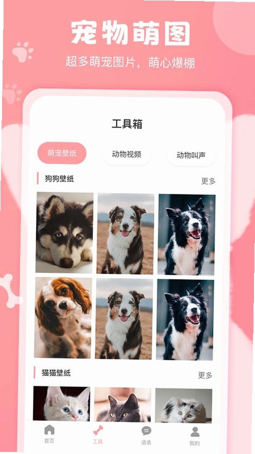 宠物语言翻译器运行截图